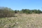 1. Zmiennowilgotna łąka trzęślicowa w obszarze Natura 2000 Lasy Suchedniowskie przed realizacją ochrony czynnej