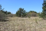2. Zmiennowilgotna łąka trzęślicowa w obszarze Natura 2000 Lasy Suchedniowskie przed realizacją ochrony czynnej