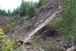 Ściana kamieniołomu gdzie odkryto ślady tetrapoda - rezerwat Zachełmie