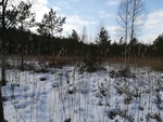 2b. Torfowisko przejściowe w obszarze Natura 2000 Lasy Suchedniowskie/ RDOŚ w Kielcach